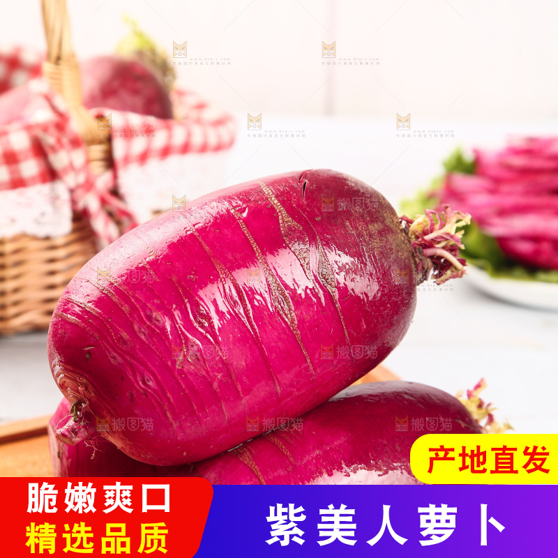 浅底上的紫美人萝卜