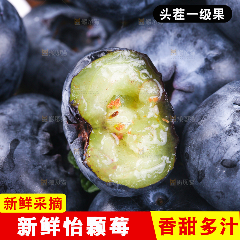 浅底上的怡颗莓