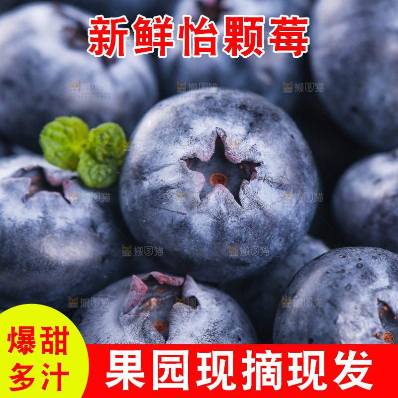 浅底上的怡颗莓