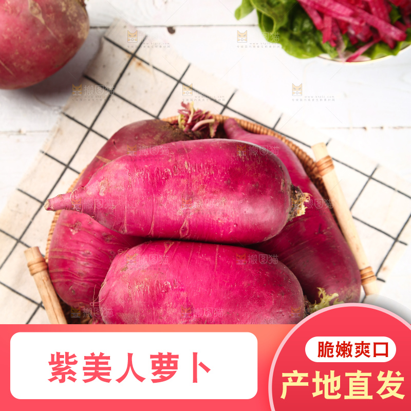 浅底上的紫美人萝卜