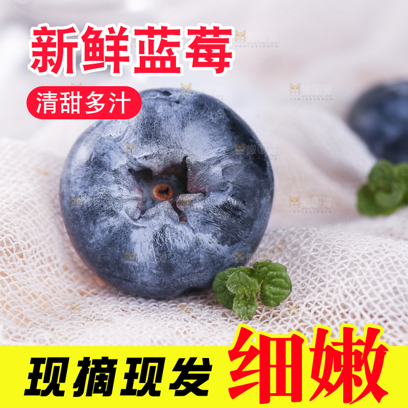 浅底上的怡颗莓