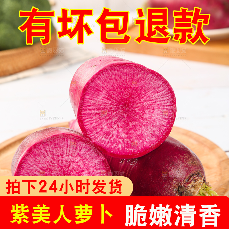 浅底上的紫美人萝卜