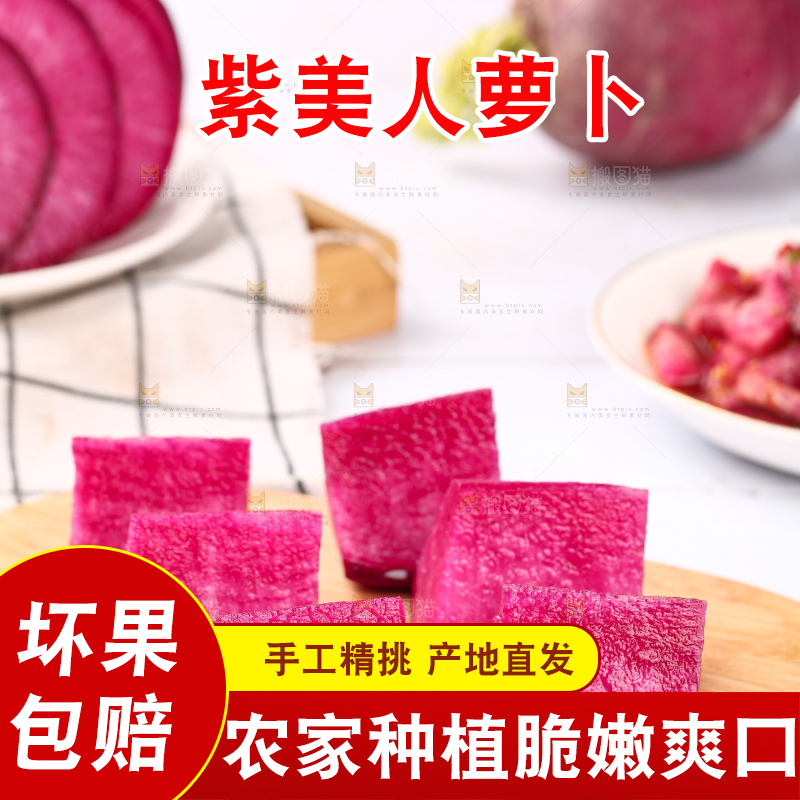 浅底上的紫美人萝卜