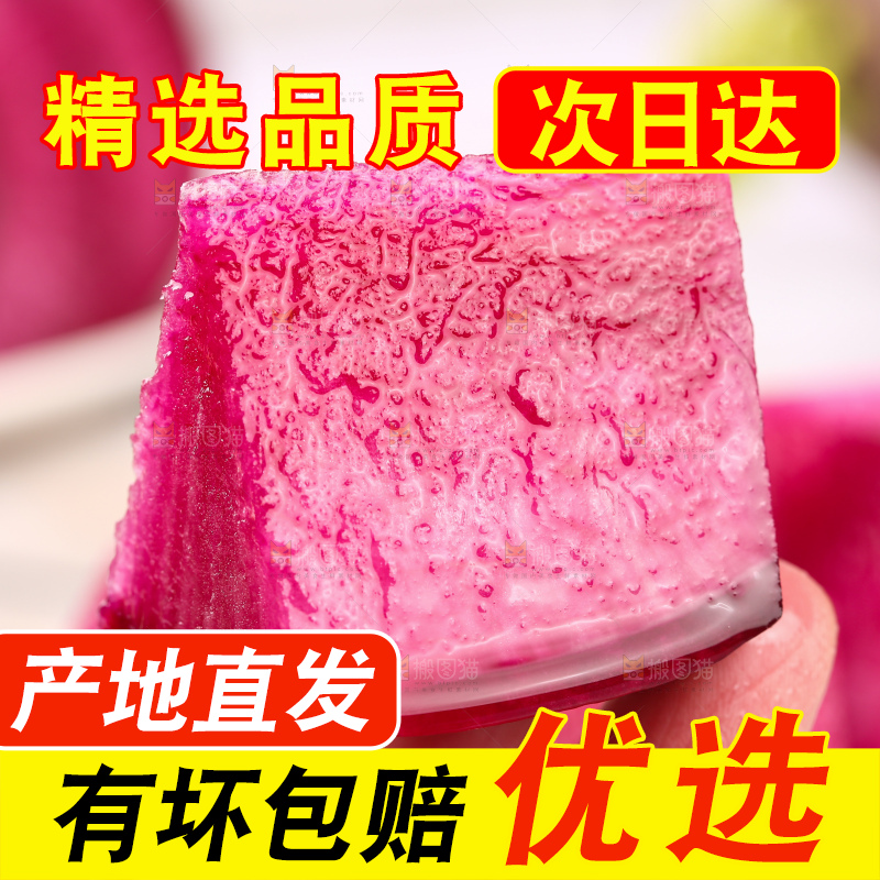 浅底上的紫美人萝卜