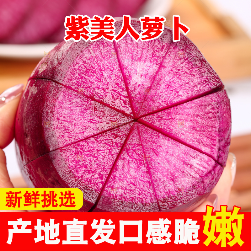 浅底上的紫美人萝卜