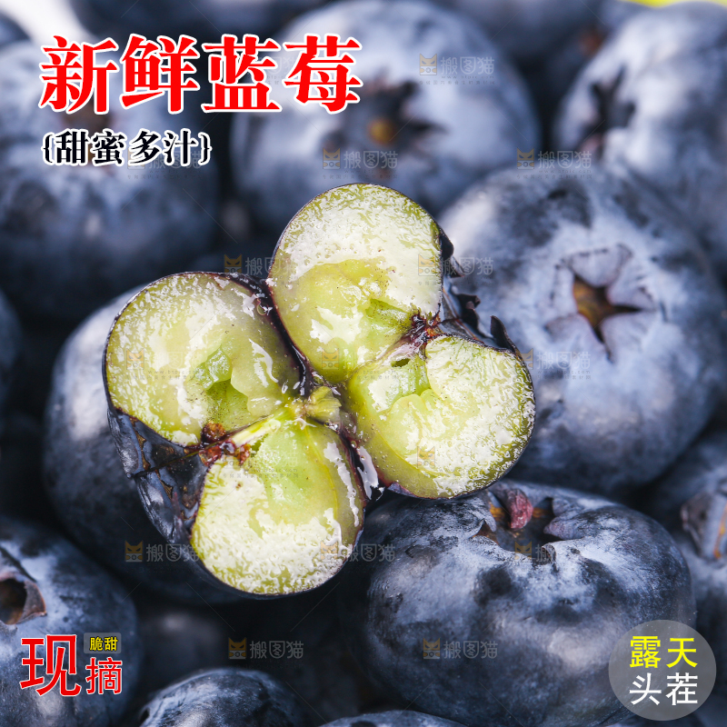 浅底上的怡颗莓