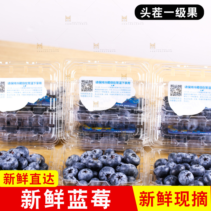 浅底上的怡颗莓