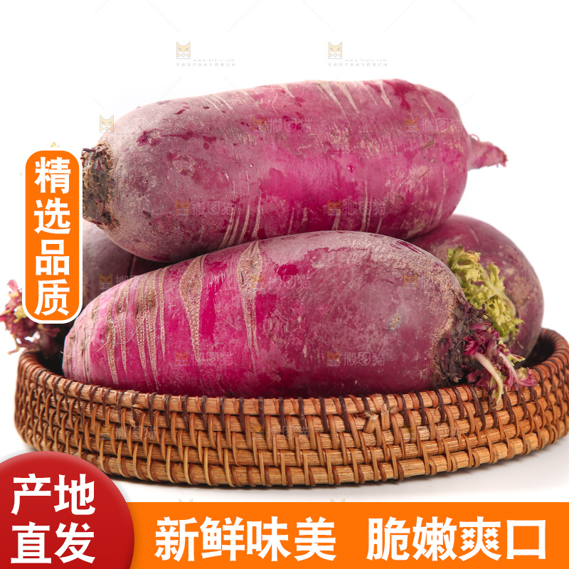 白底上的紫美人萝卜