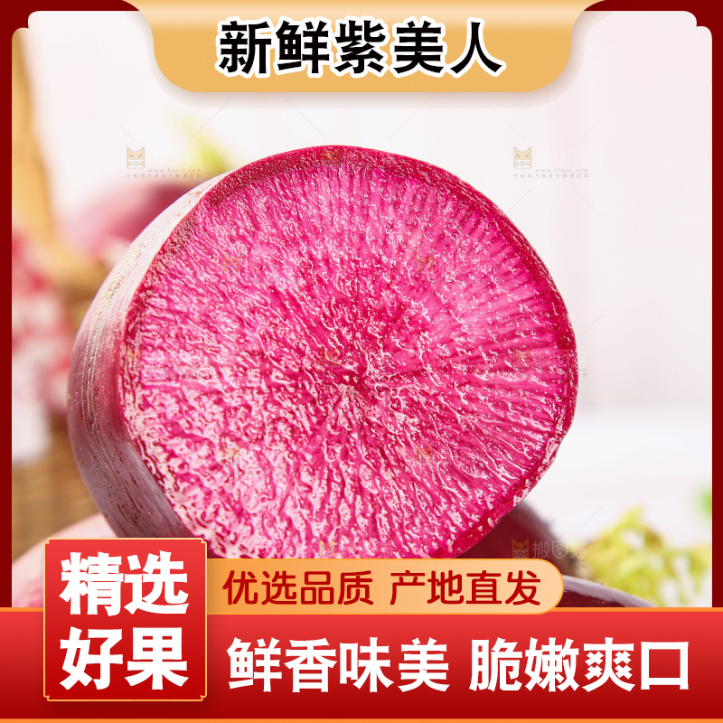 浅底上的紫美人萝卜