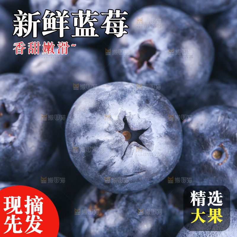 浅底上的怡颗莓