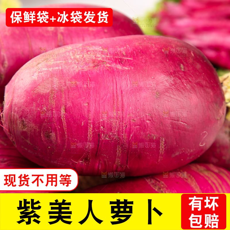 浅底上的紫美人萝卜