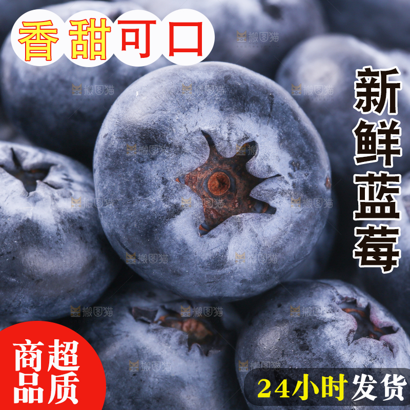 浅底上的怡颗莓