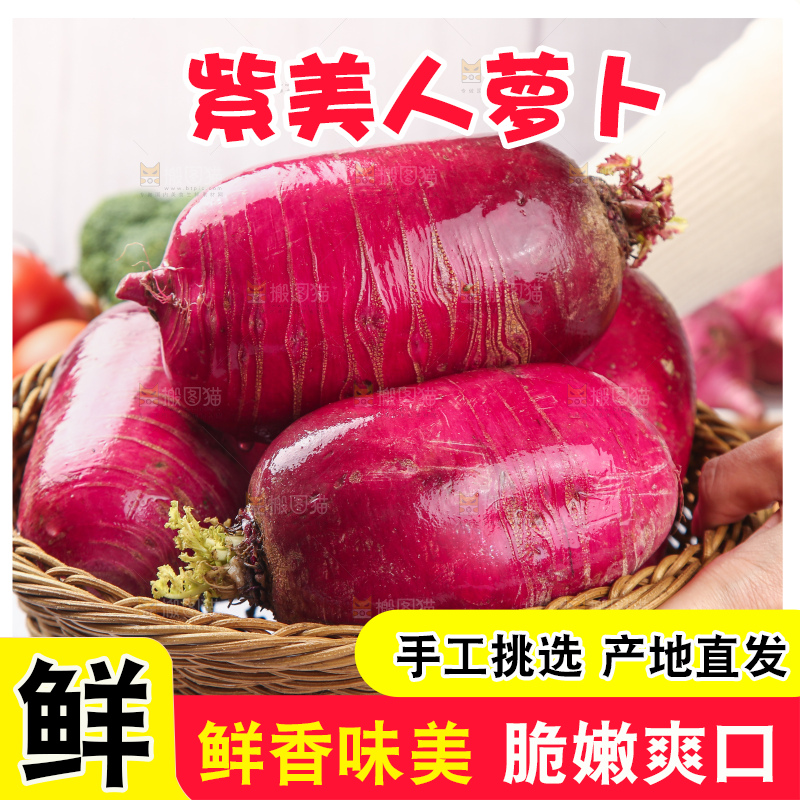 浅底上的紫美人萝卜