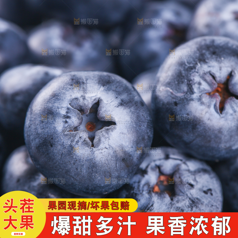 浅底上的怡颗莓