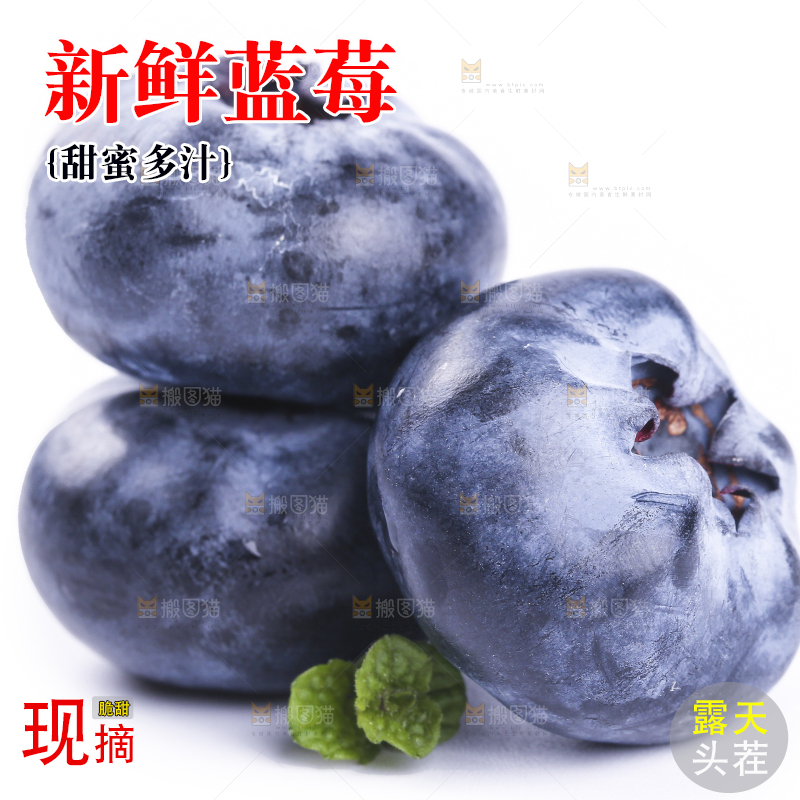 白底上的怡颗莓