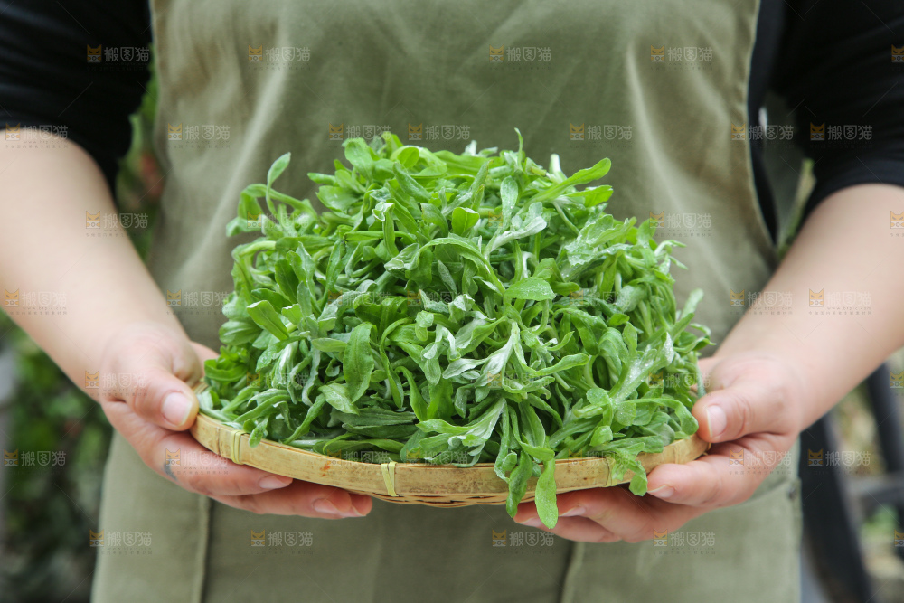 深底上的鼠曲草