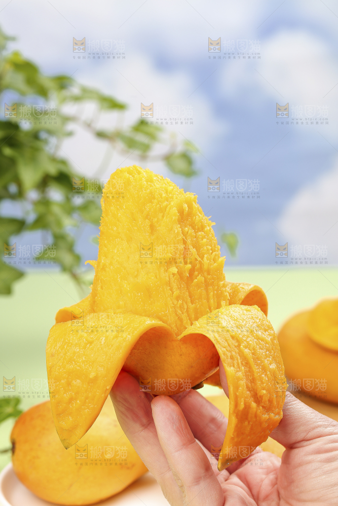 浅底上的小台芒
