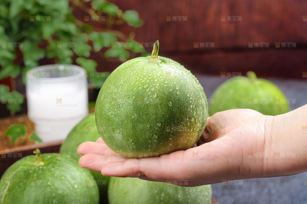 深底上的绿宝甜瓜