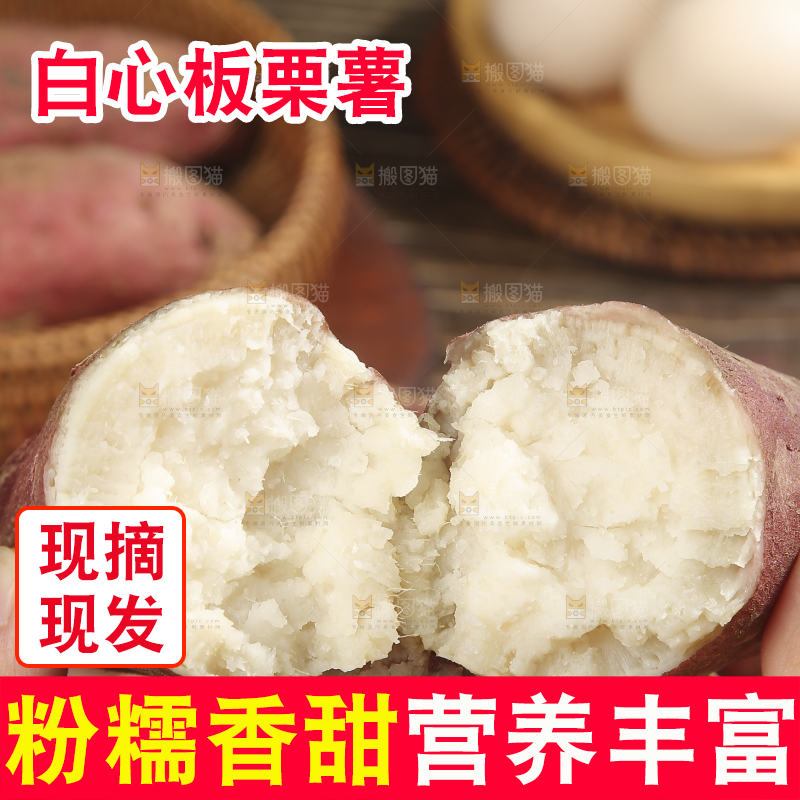 木底上的白心板栗薯