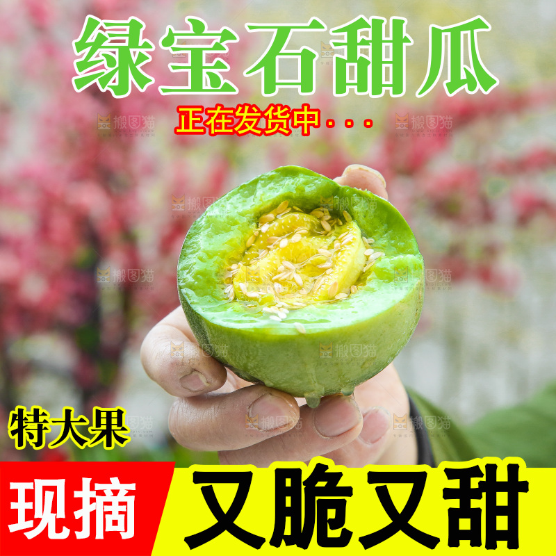 手里拿着绿宝甜瓜