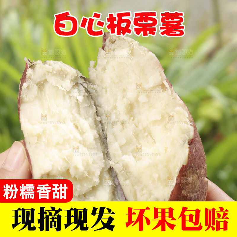 木底上的白心板栗薯