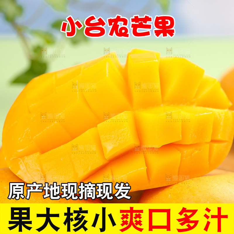 浅底上的小台芒