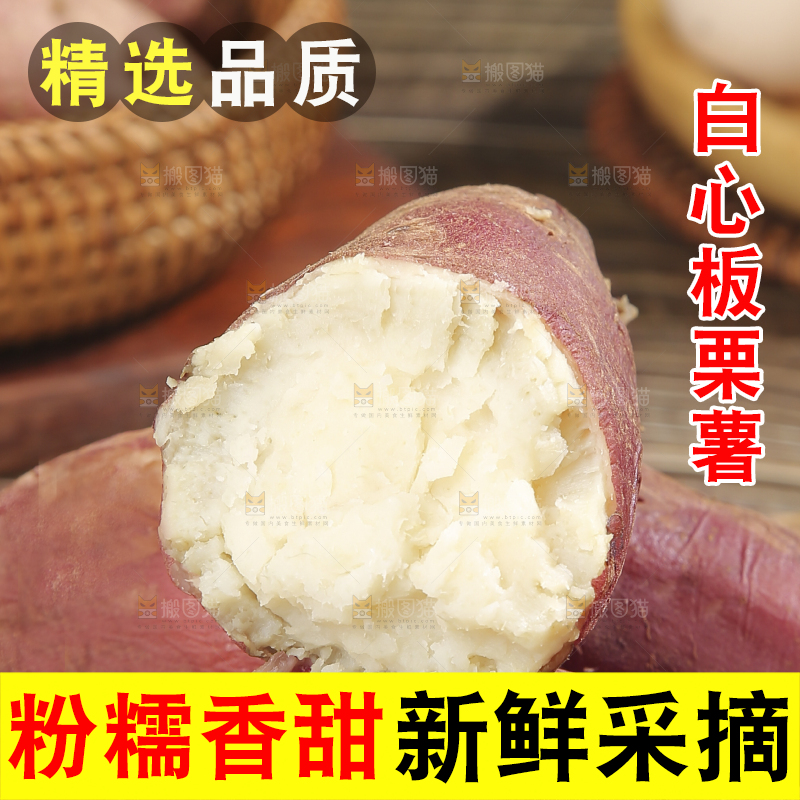 木底上的白心板栗薯