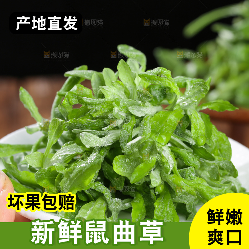 深底上的鼠曲草
