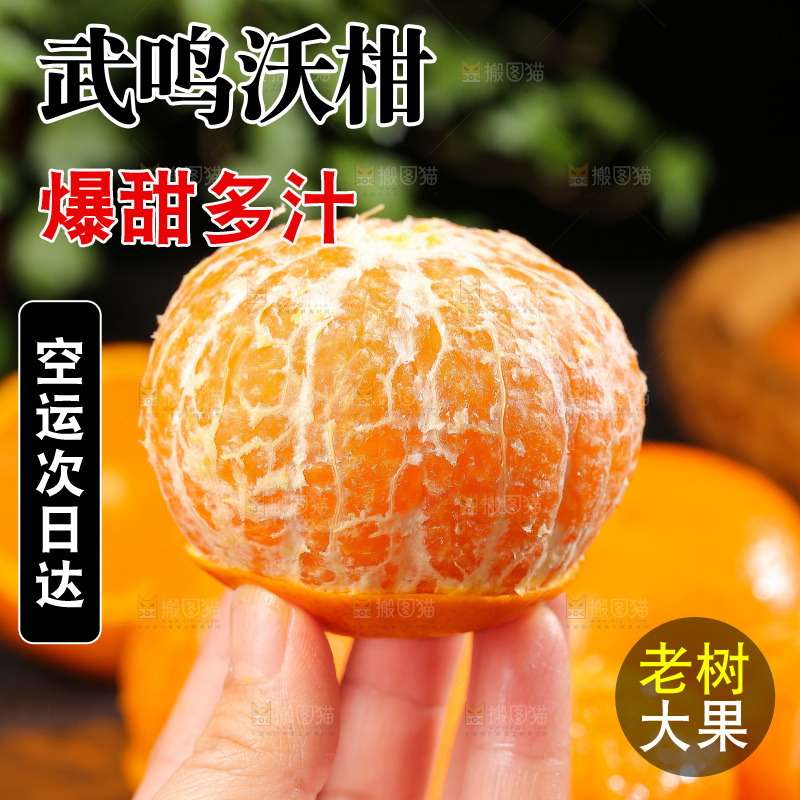 深底上的武鸣沃柑