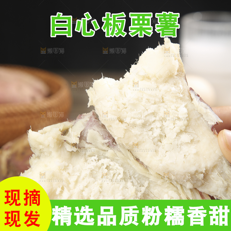木底上的白心板栗薯