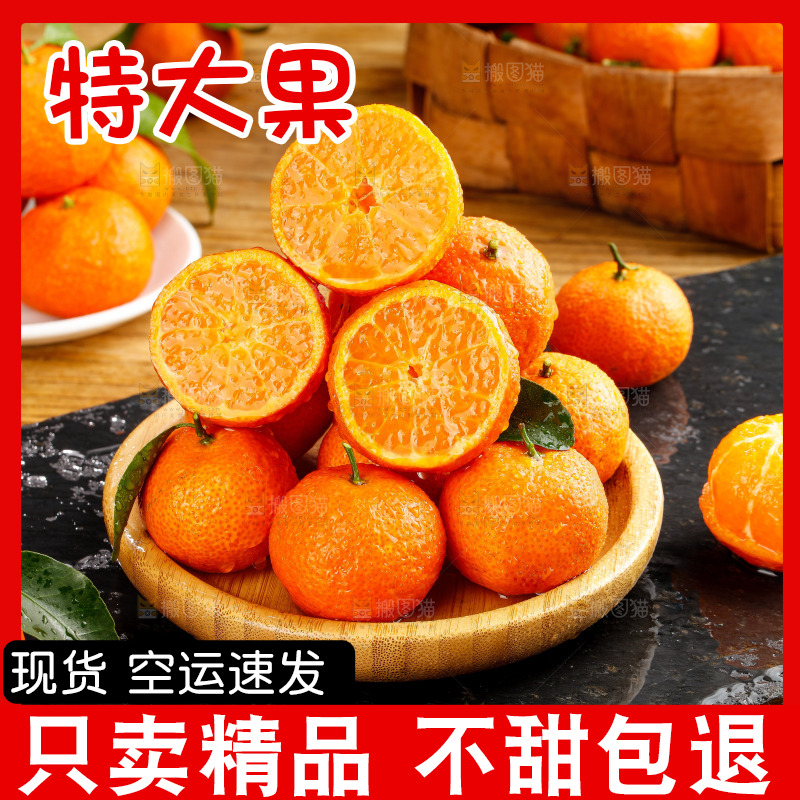 深底上的砂糖桔