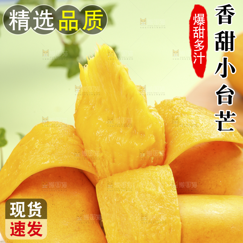 浅底上的小台芒