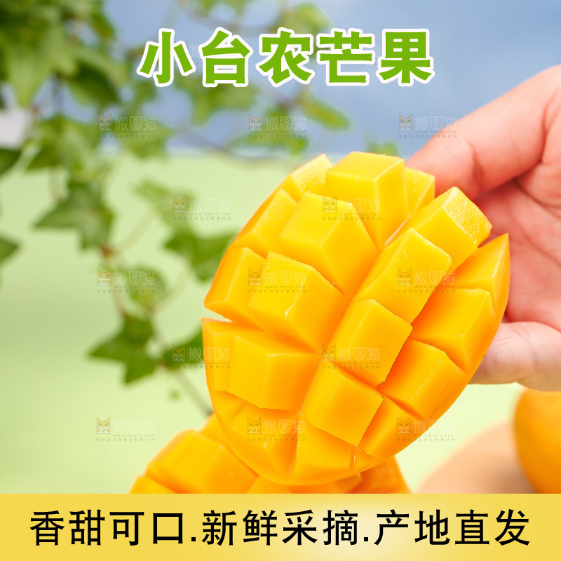 浅底上的小台芒