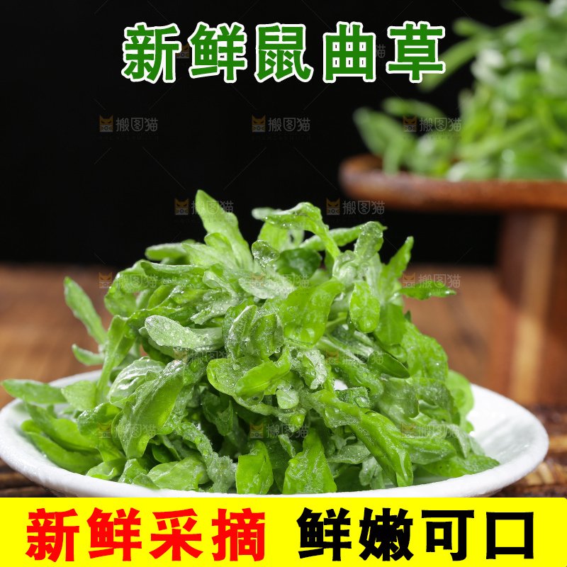 深底上的鼠曲草