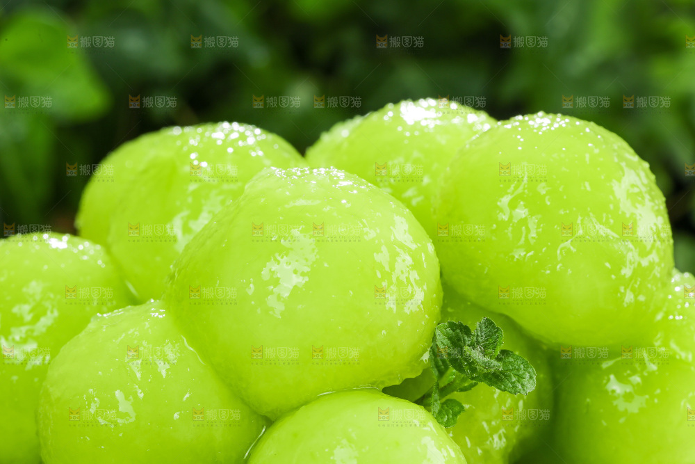 深底上的玉菇甜瓜