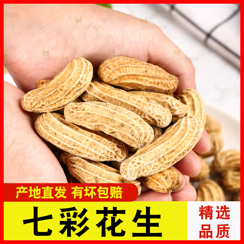 浅底上的七彩花生