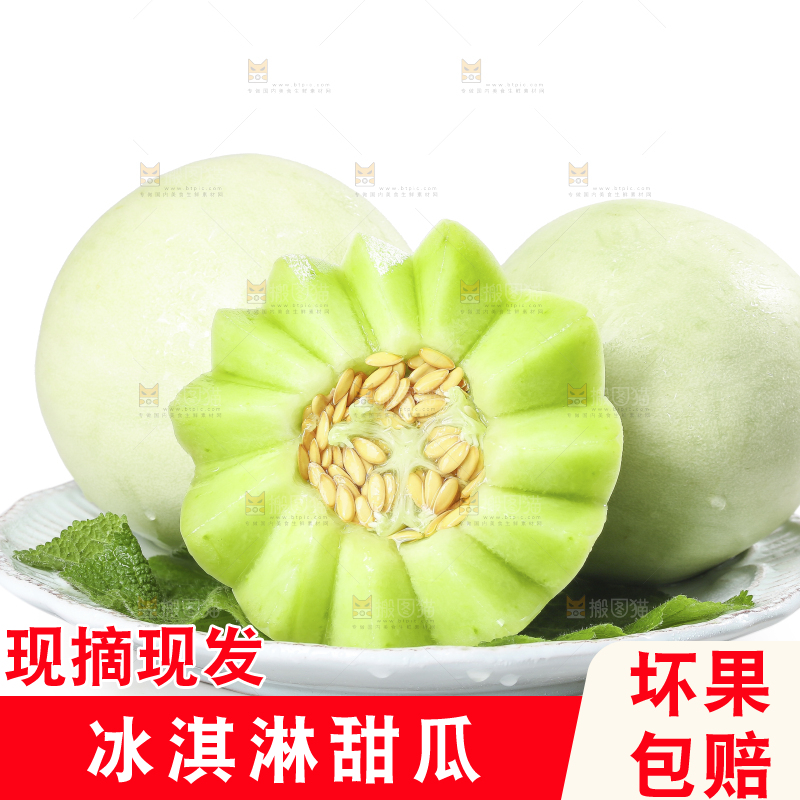 白底上的玉菇甜瓜