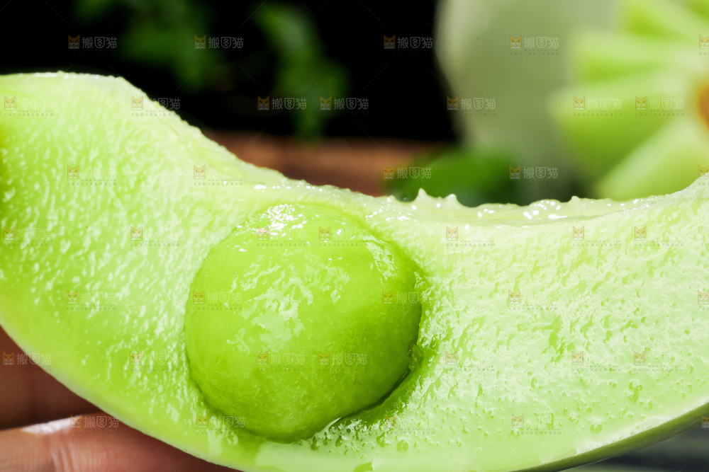 深底上的玉菇甜瓜
