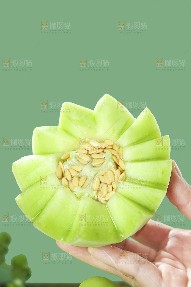 浅底上的玉菇甜瓜