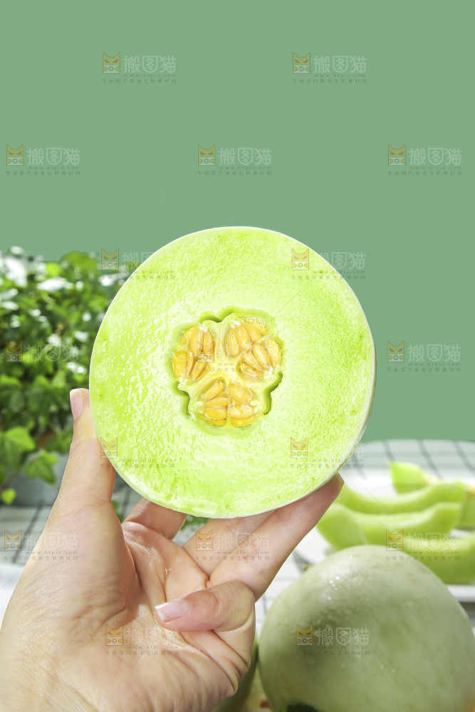 浅底上的玉菇甜瓜