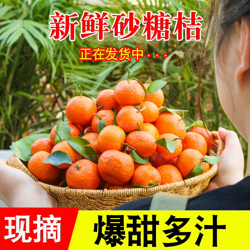 手里拿着沙糖橘