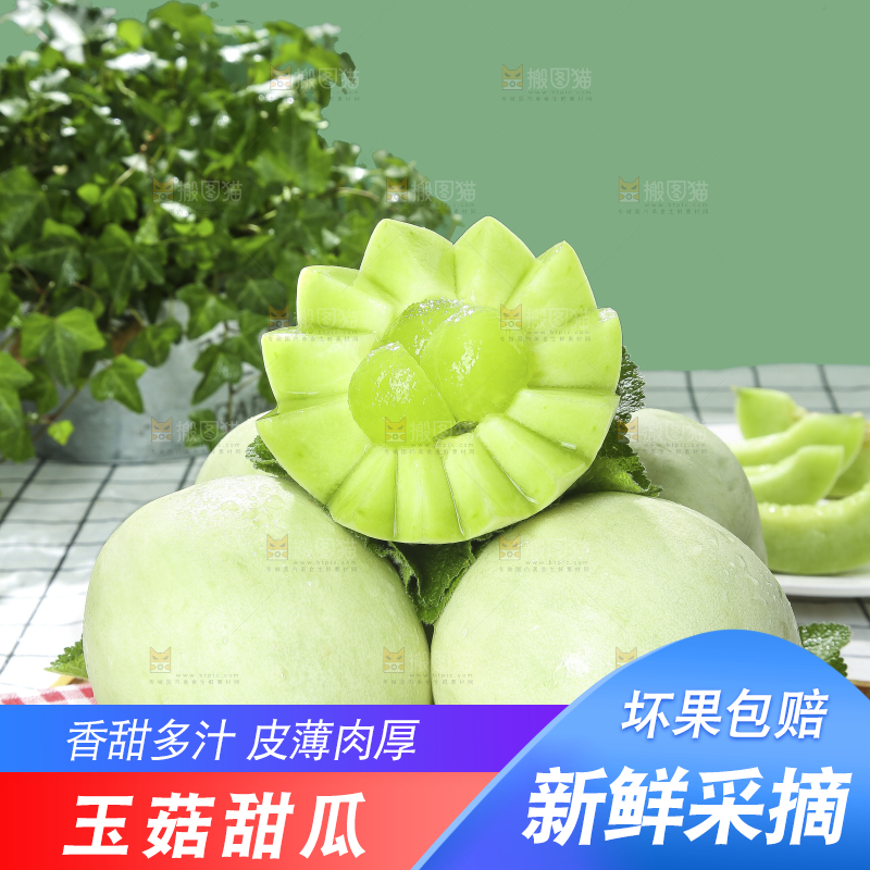 浅底上的玉菇甜瓜