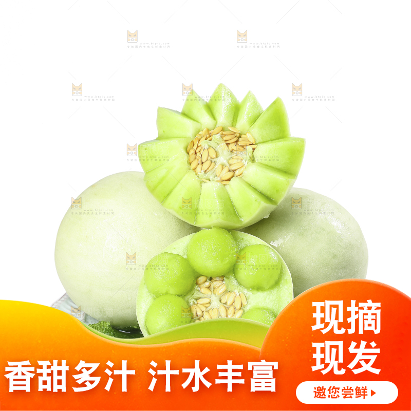 白底上的玉菇甜瓜