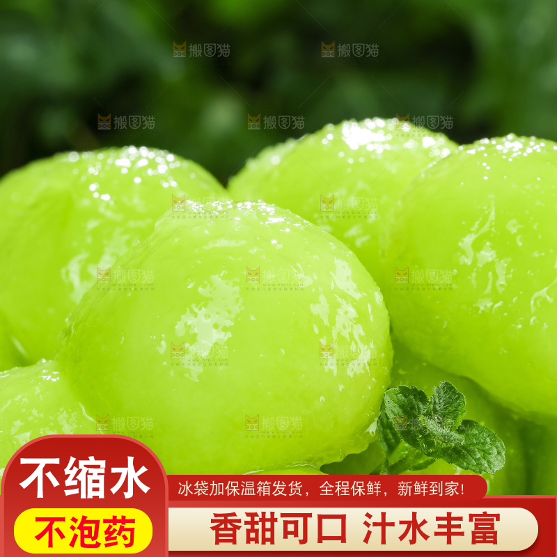 深底上的玉菇甜瓜