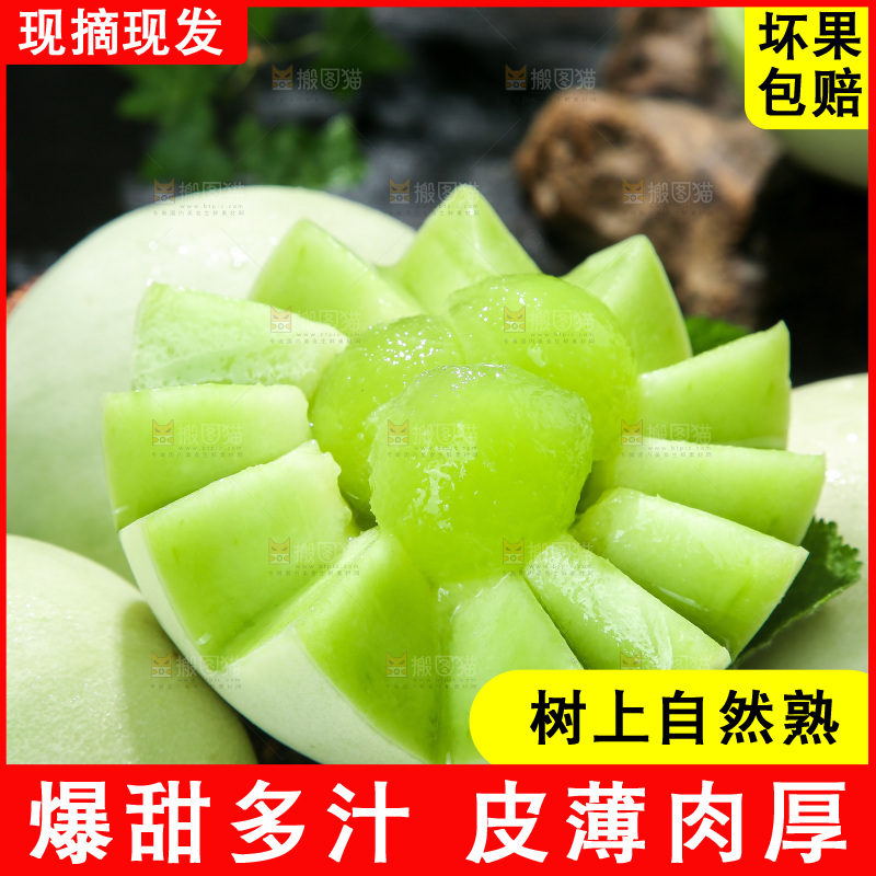 玉菇甜瓜主图