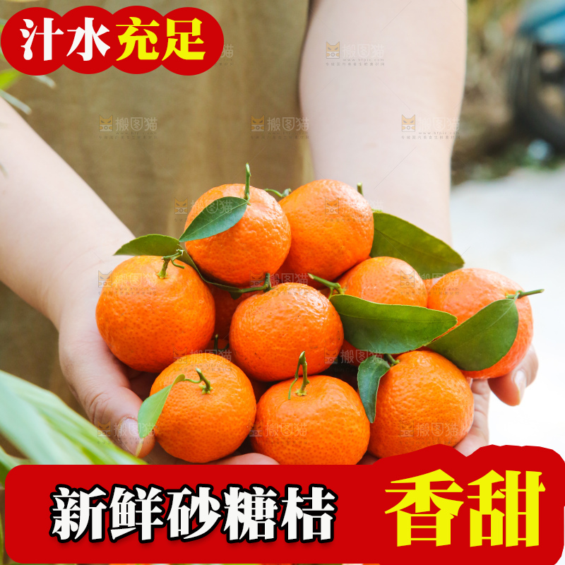 手里拿着沙糖橘