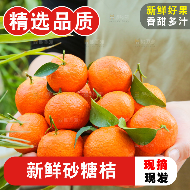 手里拿着沙糖橘