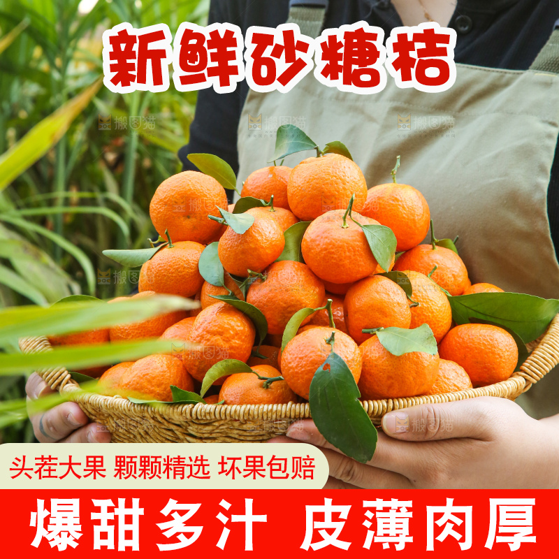 手里拿着沙糖橘