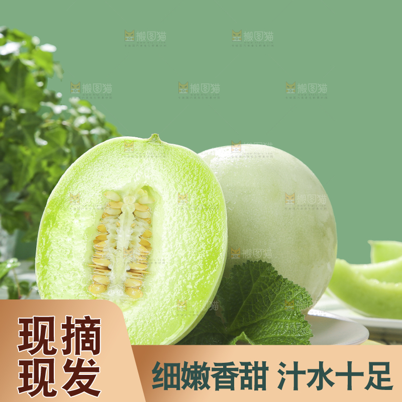 浅底上的玉菇甜瓜