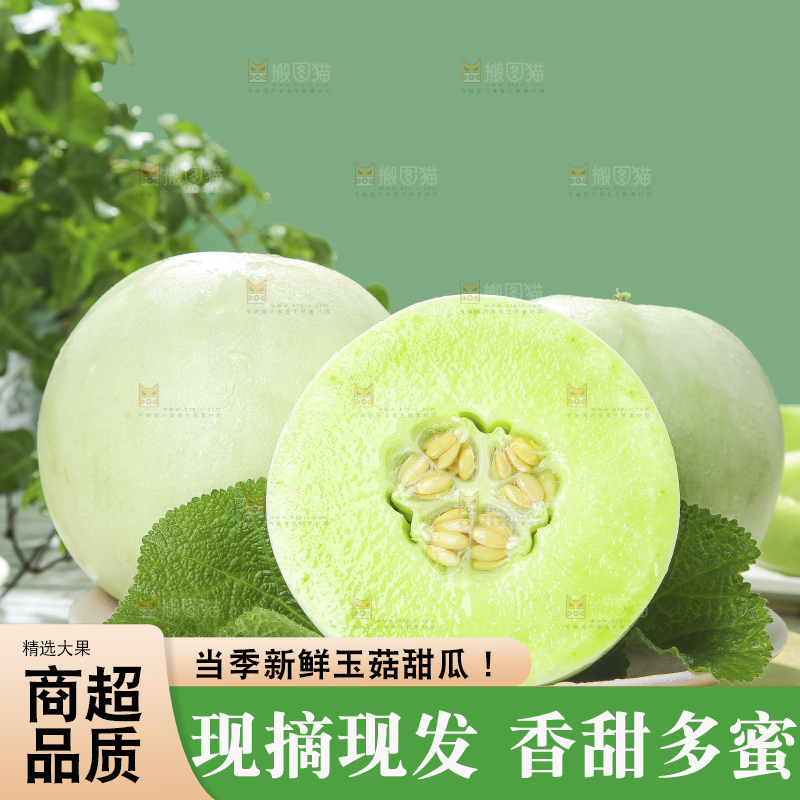 浅底上的玉菇甜瓜